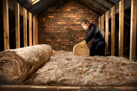 Professional Insulation Services in Leesburg, GA